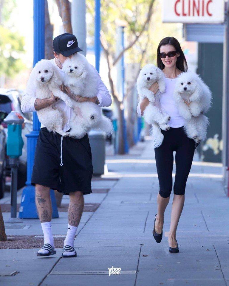 Пожалуй, самые милые кадры дня — семейство Пельтц-Бекхэм на выгуле с белыми пушистиками