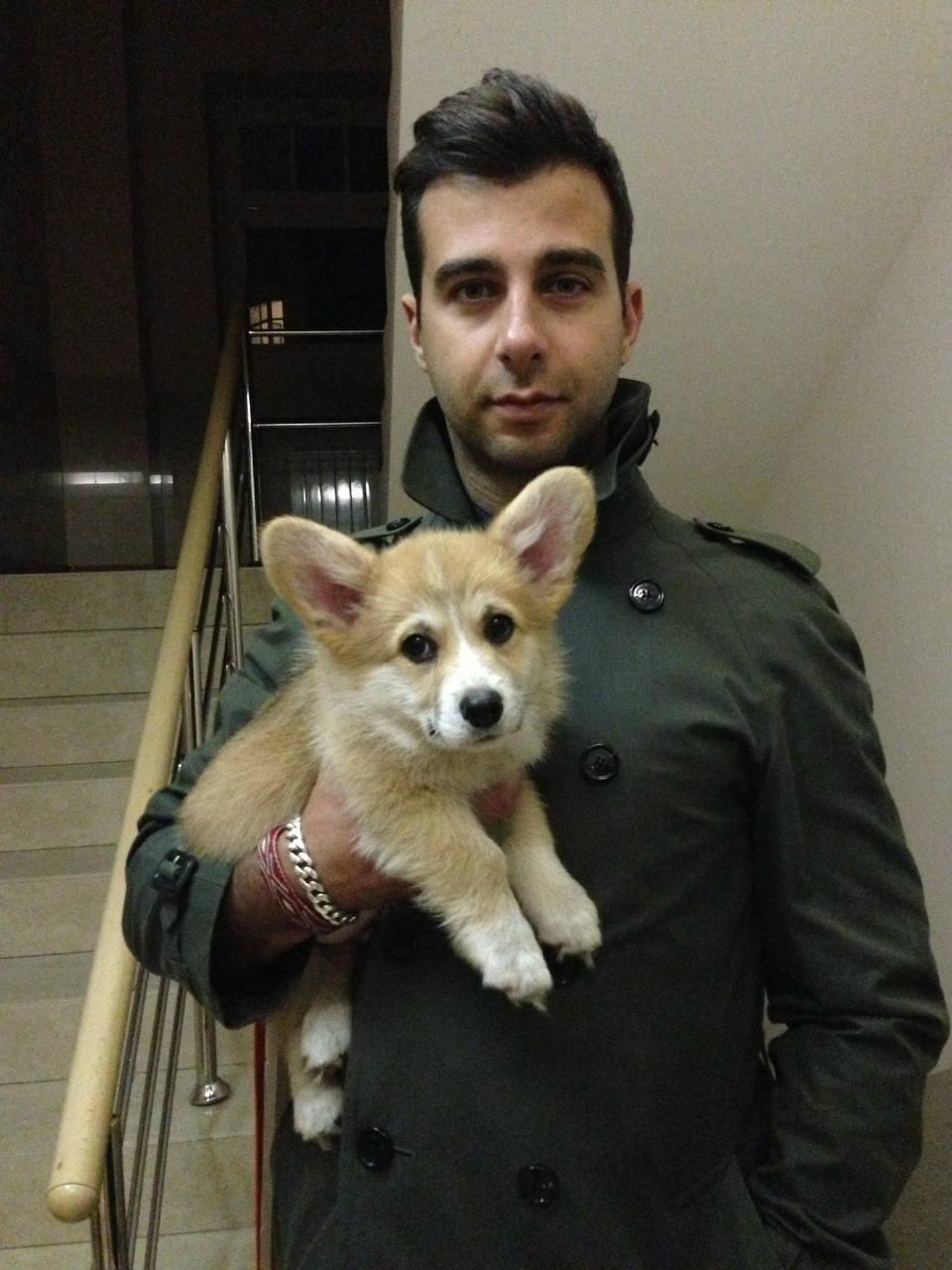 Иван Ургант сообщил о смерти любимого пса Компота 😥