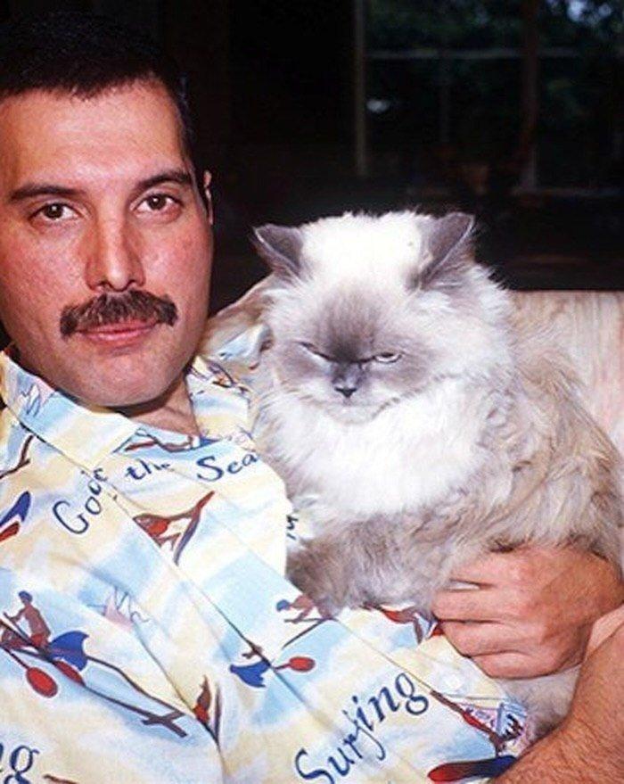 👑 🐾 Фредди Меркьюри был неукротимым королём сцены, собирающим стадионы, но за пределами софитов превращался в невероятно нежного и заботливого хозяина