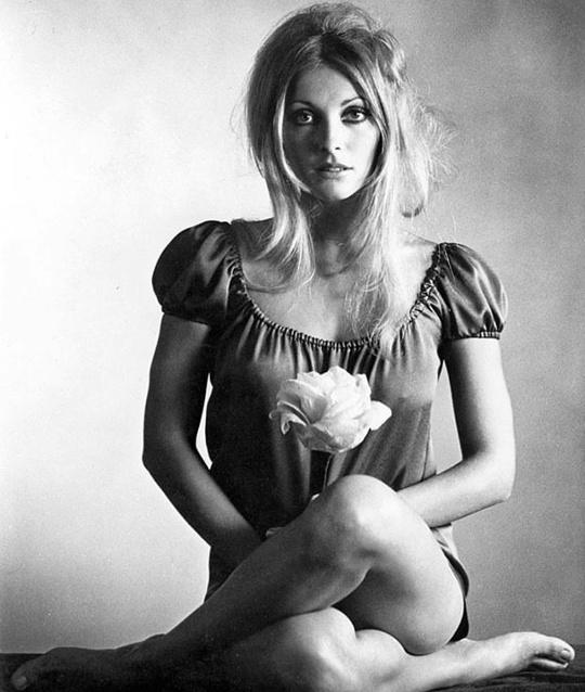 Трагедия, потрясшая мир: Шэрон Тейт за мгновение до… 📜